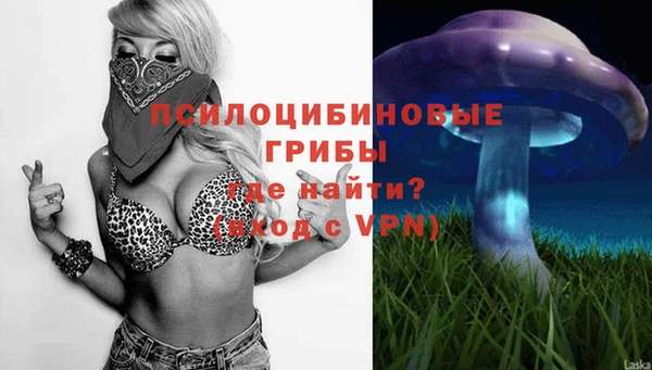 прущие крисы Алзамай