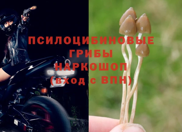 герыч Алексин